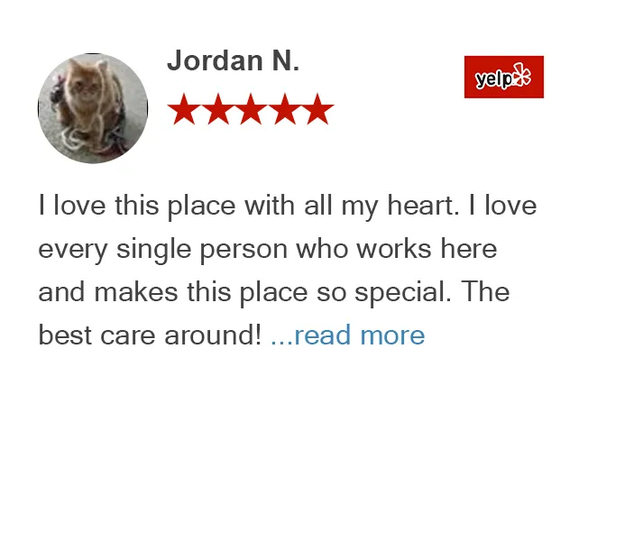 Yelp review of Jordan N